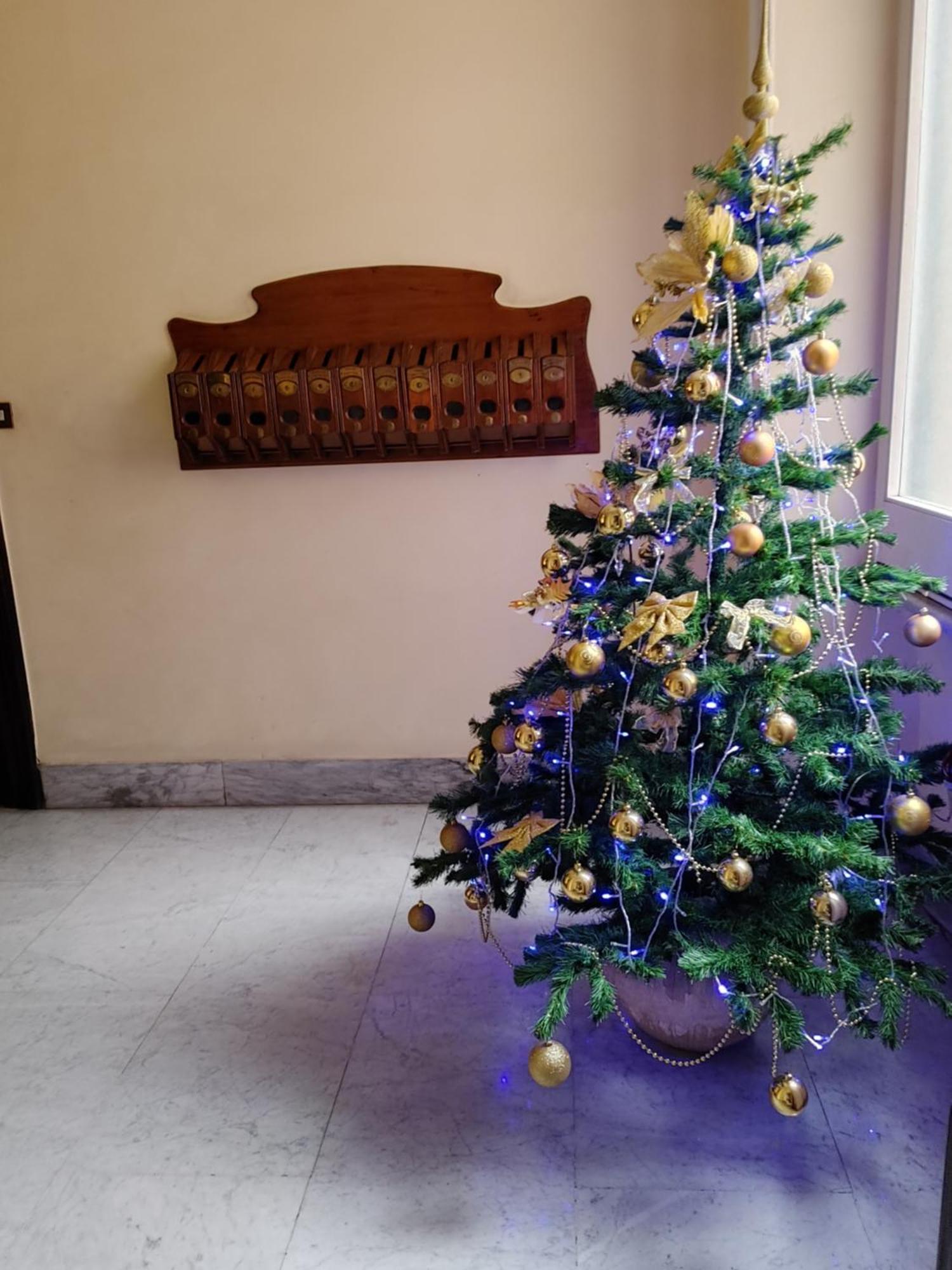 Studio Flat Trastevere Rzym Zewnętrze zdjęcie